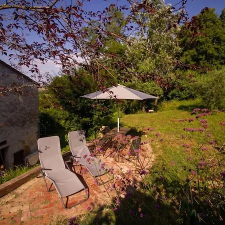 Con Piscina E Giardino - Olivo Apartment *