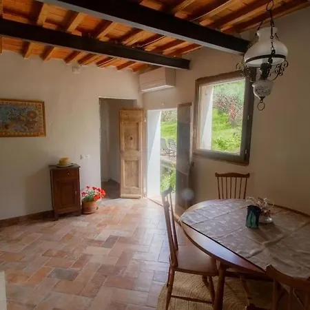 Apartment Con Piscina E Giardino - Olivo