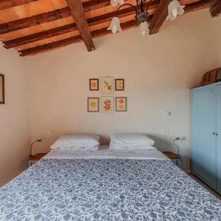 Con Piscina E Giardino - Olivo Apartment